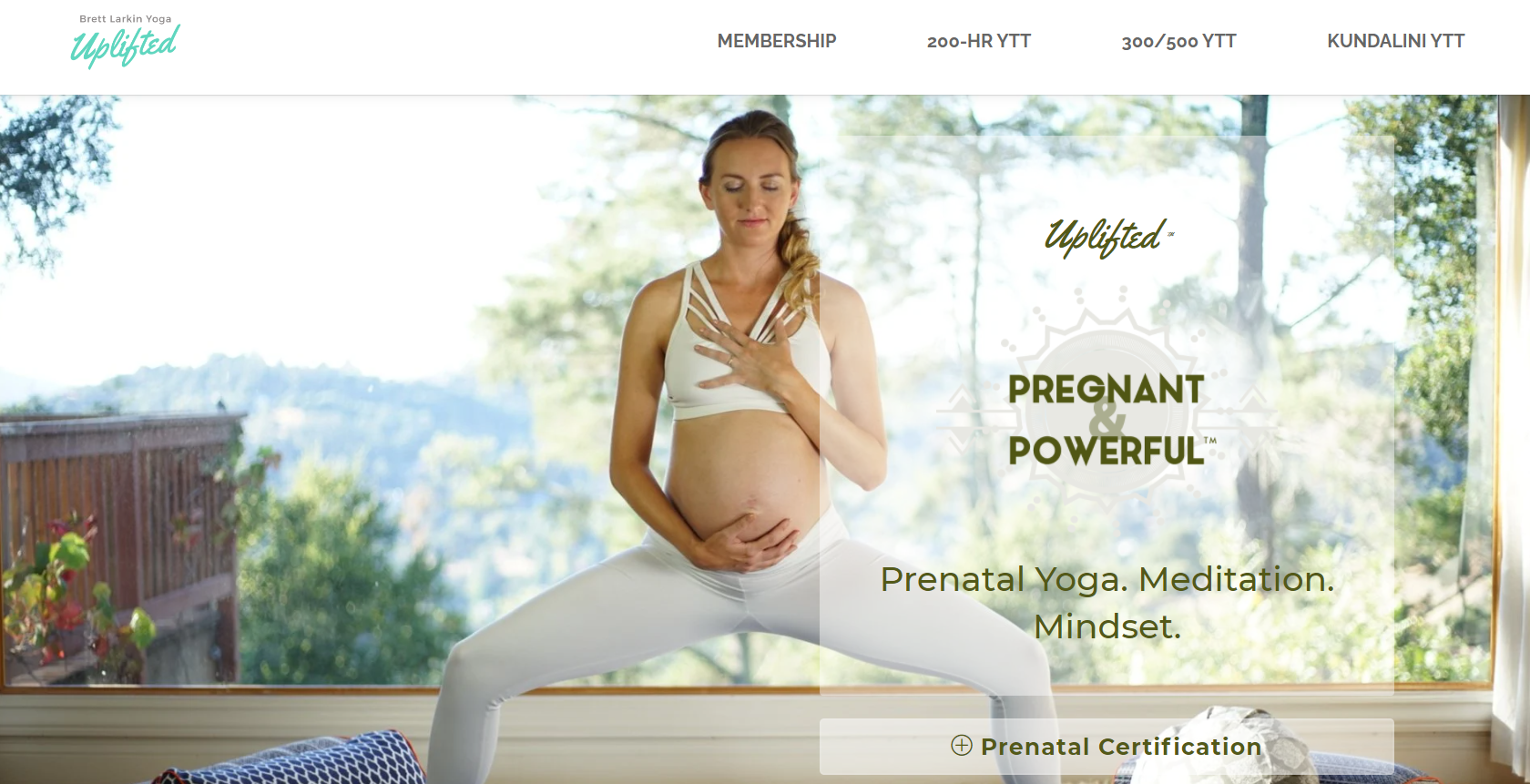 Brett Larkin Prenatal Yoga
