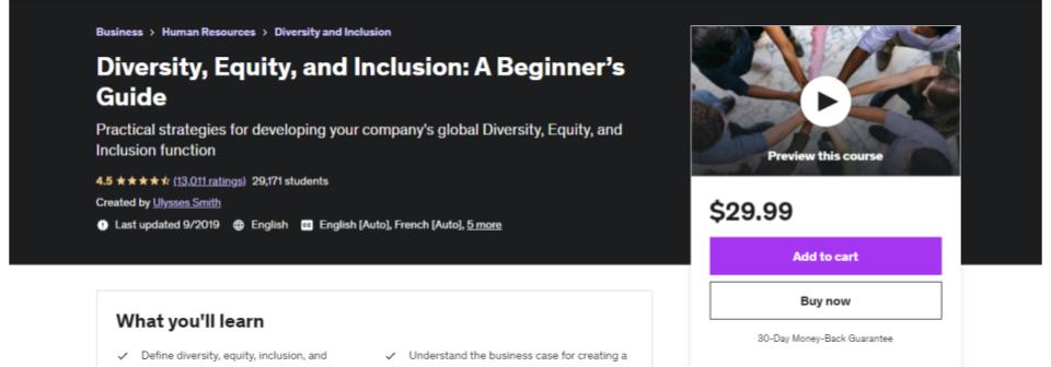Diversity Equity and Inclusion - A Beginner's Guide