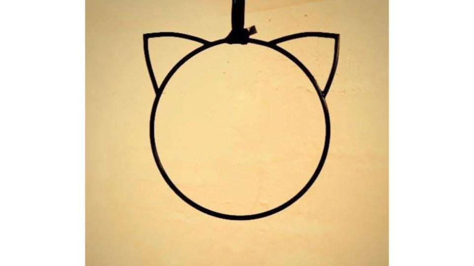 Aerial kitty hoop lyra